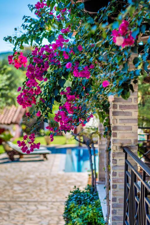 Villa Elea Lithakia  Zewnętrze zdjęcie